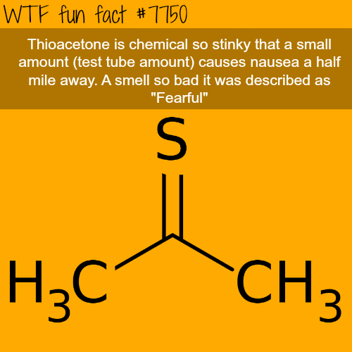 tumblr_otpuf7SmYt1roqv59o1_500.png