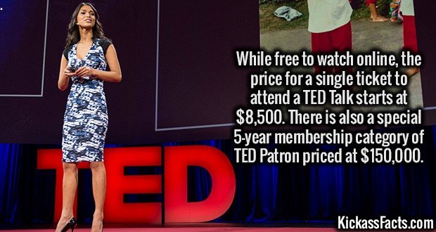1978-TED-talk.jpg
