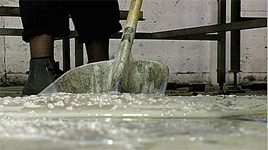 tumblr_inline_nv9pwfBe271r8p6j9_500.gif