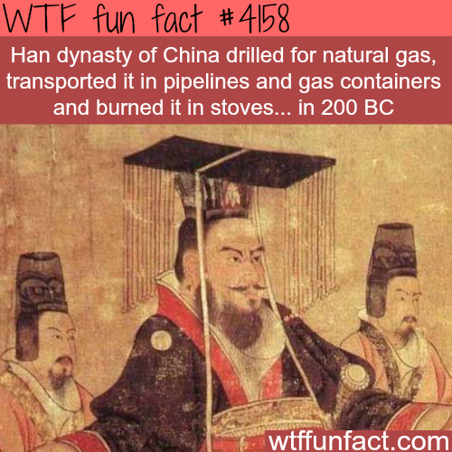 tumblr_nqavf2eVOx1roqv59o1_500.png