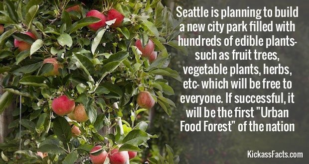 531UrbanFoodForest.jpg