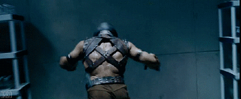 racicihh08nz.gif
