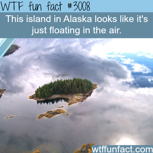 tumblr_nc9n323SxR1roqv59o1_500.png