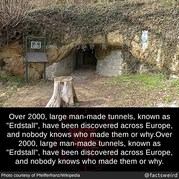 tumblr_ox789rA8IY1szqwnwo1_1280.jpg