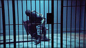 tumblr_ny1mne4RT51r4qduio8_400.gif