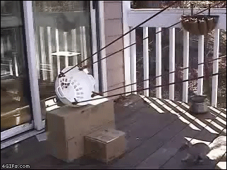 tumblr_mwh5tyyiQ81s83ivfo1_400.gif