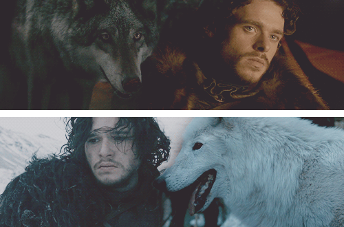 Winter-is-Coming-house-stark-31513815-500-330.gif