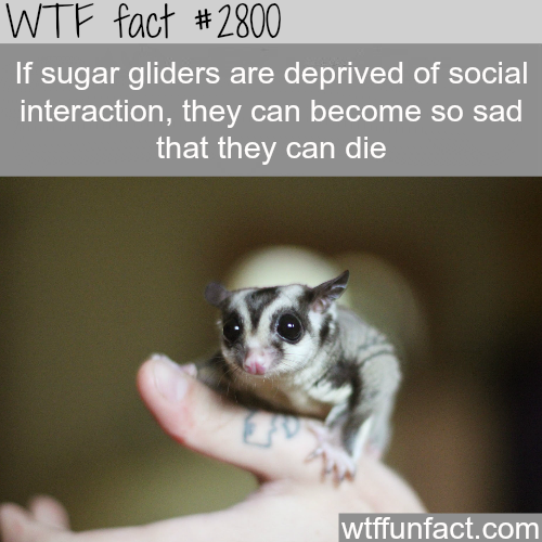tumblr_n9fv5hxBZA1roqv59o1_500.png