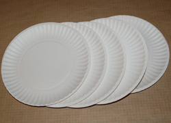 14.paper.plates.jpg