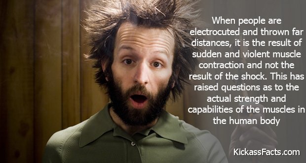 185ElectricShock.jpg