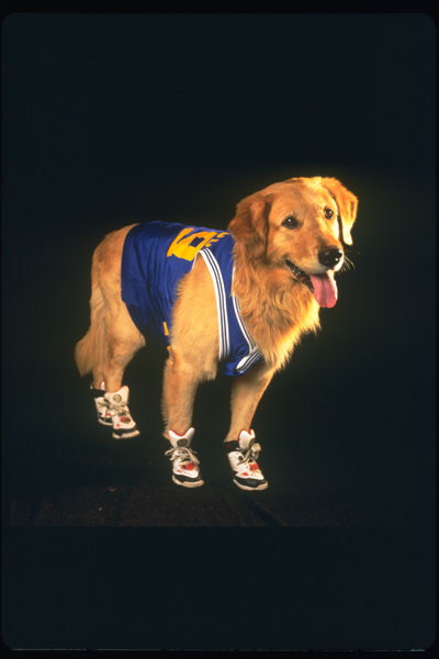 AirBud6.jpg