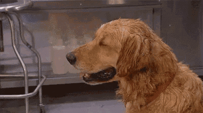 02ngdbo0n7t7.gif