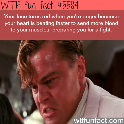 tumblr_o56oelrgca1roqv59o1_500.png