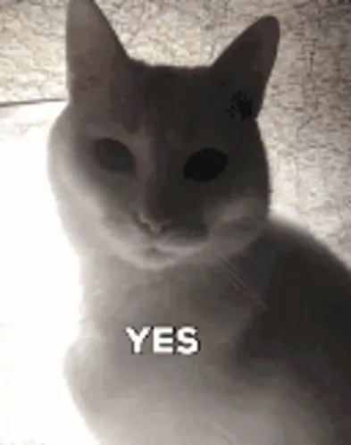 876X0.gif