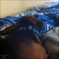 figs5putgpif.gif