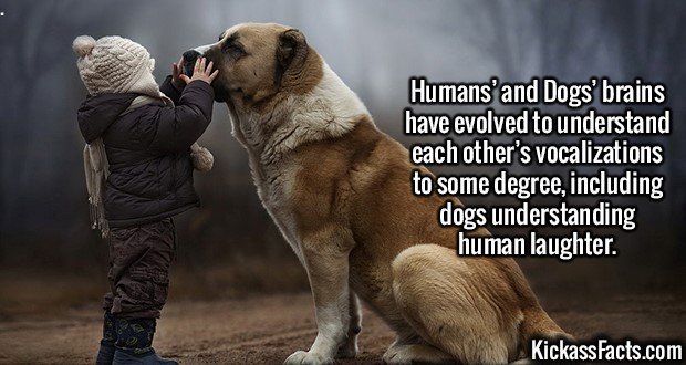 2404-Humans-and-Dogs.jpg
