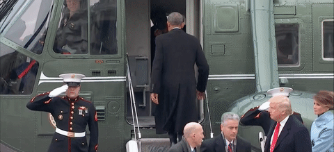 avkz5rj3y4ww.gif