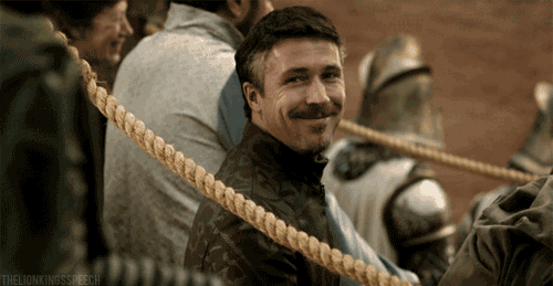 ffaba557d5e7fe8a27087a2d7746744a.500x259x10.gif