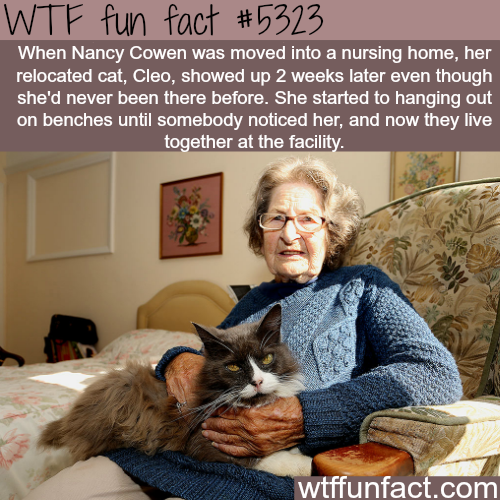tumblr_o3by4nwNff1roqv59o1_500.png