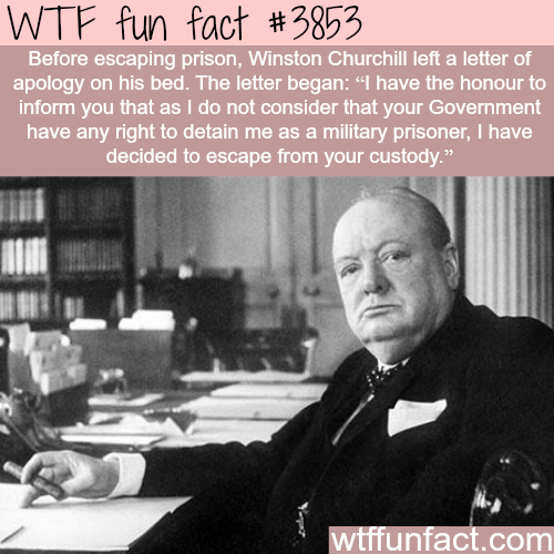 tumblr_nmvmej2N8a1roqv59o1_500.png