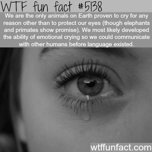 tumblr_o16f67YUHs1roqv59o1_500.png