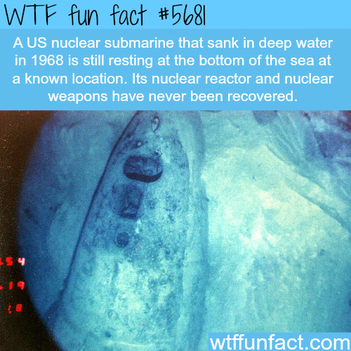 tumblr_o696ke6giP1roqv59o1_500.png