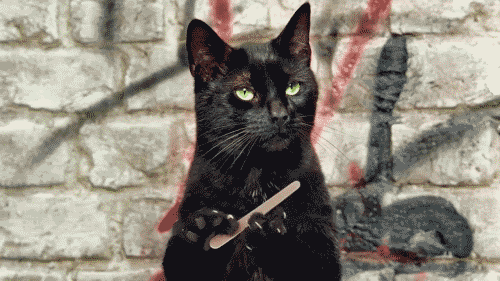 tumblr_nikh3kvuPD1s3h43ko1_r1_500.gif