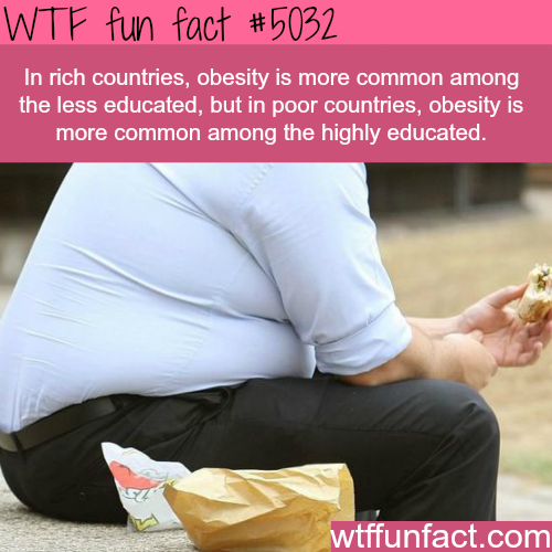 tumblr_nzzc36Iu071roqv59o1_500.png