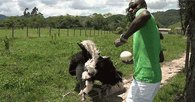 tumblr_mxfulxTiDW1r3gb3zo1_400.gif
