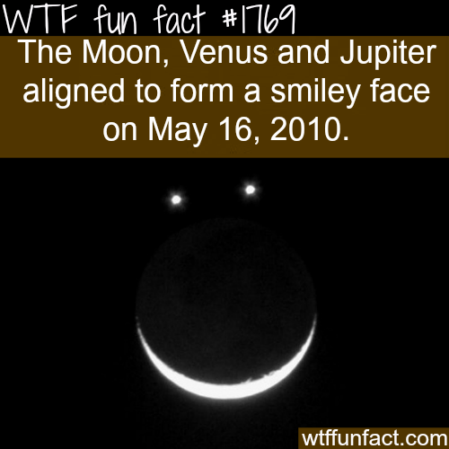 tumblr_mrfyunUf8N1roqv59o1_500.png