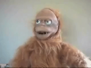 tkdqhg6p8n9w.gif
