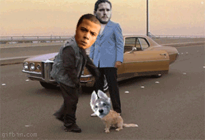 fwdcvqvh2jvd.gif