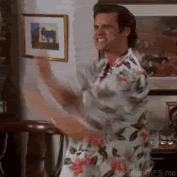 y8sbf8fkju7w.gif