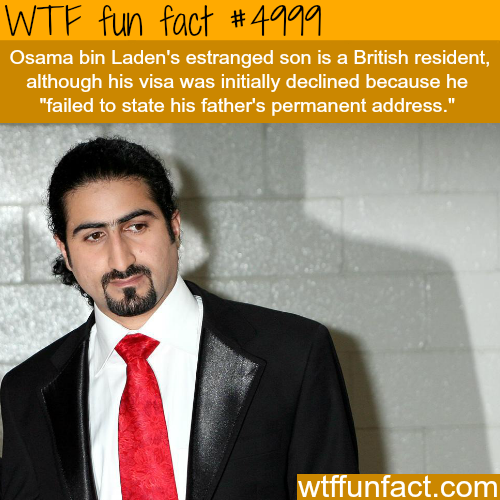 tumblr_nzm5wpmSUd1roqv59o1_500.png