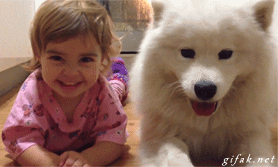 tumblr_nl9a8s9hbN1t0cscho1_400.gif
