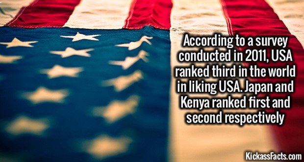 1346-USA-Liking-USA.jpg