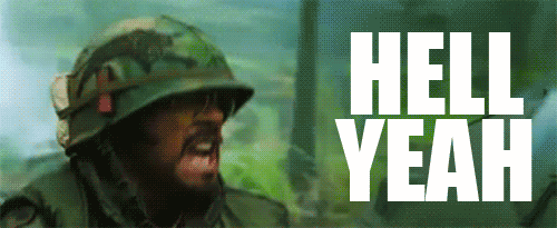 13223313.gif