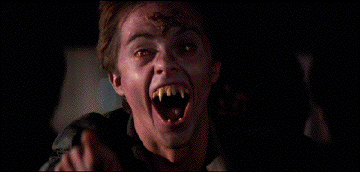 tumblr_o4olb3O5ya1qjxgmho1_400.gif