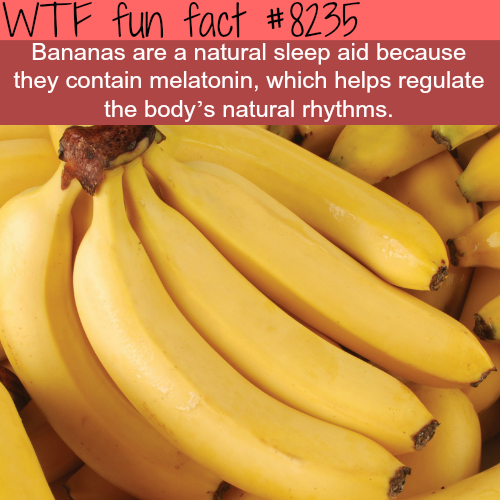 tumblr_p0xl8npwMD1roqv59o1_500.png