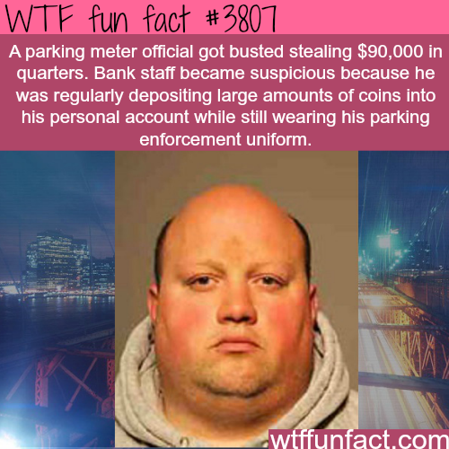 tumblr_nmcbjclnnk1roqv59o1_500.png