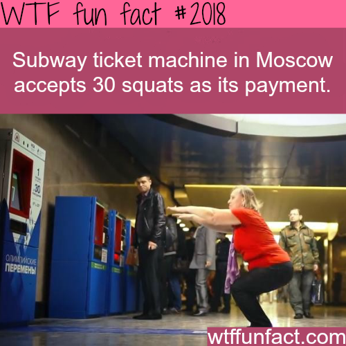 tumblr_mw9zx2bWaz1roqv59o1_500.png