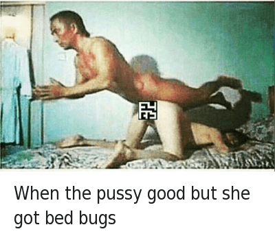 elgxs9cxo4tk.png