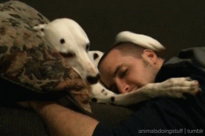 tqiipp3klt5p.gif