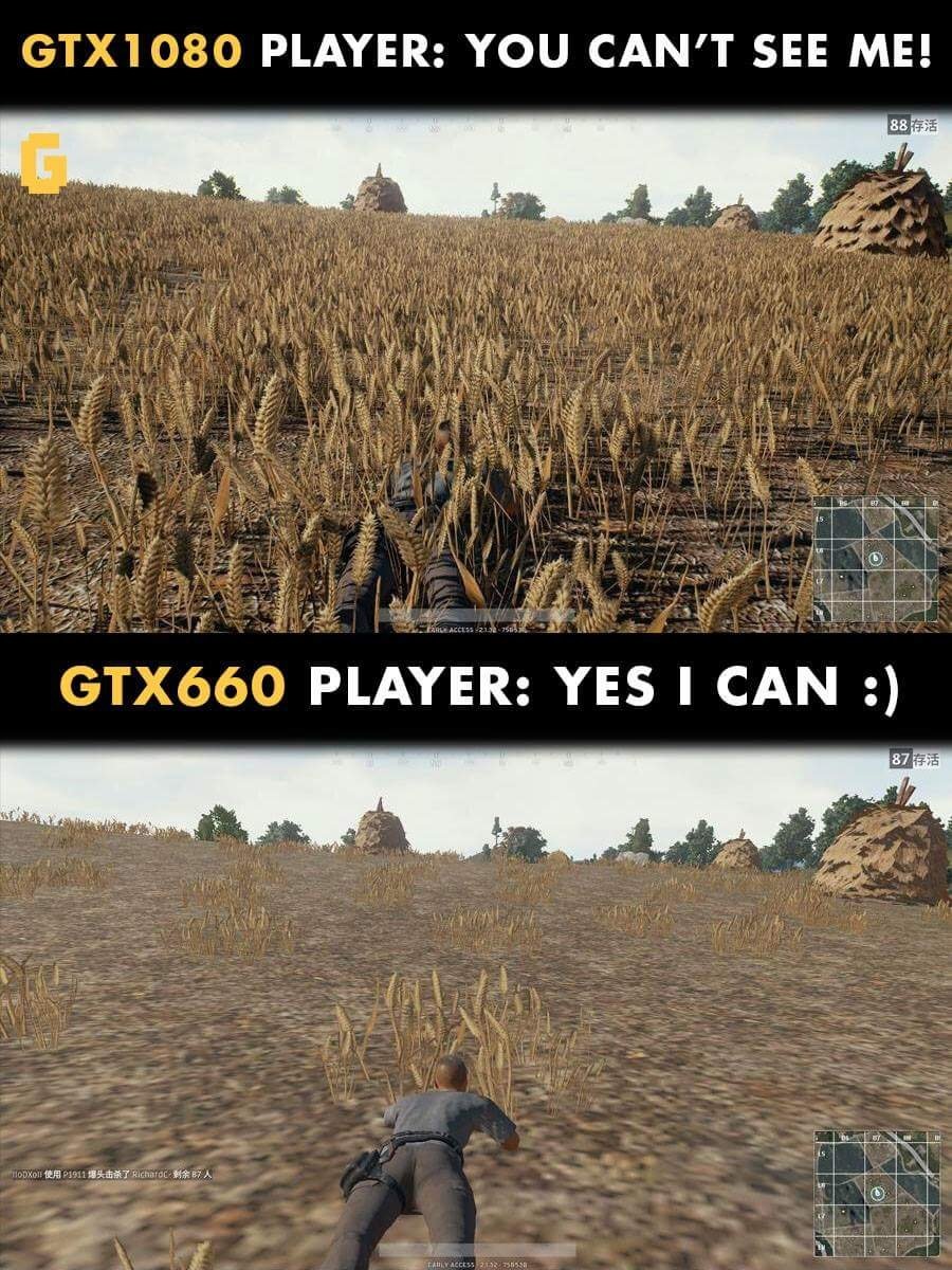puf704qknyqy.jpg