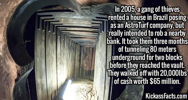 2377-Tunneling-Robbers.jpg