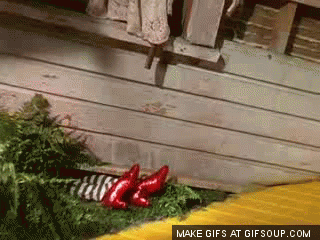 z72qy5b4u1gj.gif