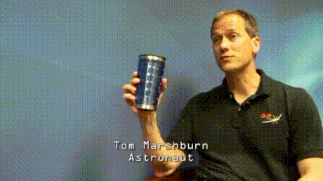 tumblr_ns2w3mS4hO1roqv59o2_500.gif