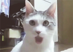 tumblr_lzayyz6u811qhiw96o2_r1_250.gif