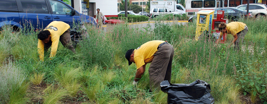weeding.gif