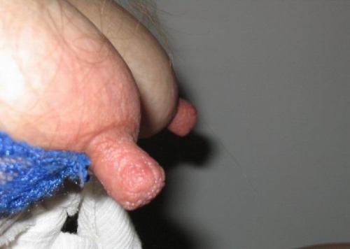 tumblr_nvqjec2BQZ1uepk0do1_500.jpg